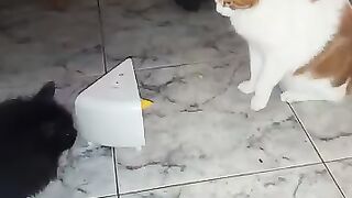 I can't relax for one second