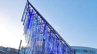 La belle à journée.