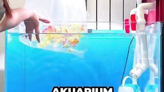 Ini Cara Memindahkan Ikan Dengan Benar Dan Aman????