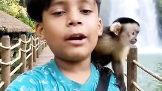 কাঁধে নতুন বন্ধু ঝরনার ধারে এক অদ্ভুত অভিজ্ঞতা