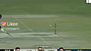 Cricket