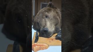 Домашнее общение))