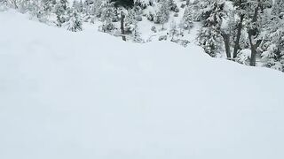 Snowfall