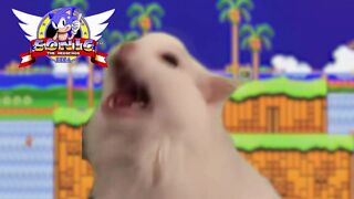 Cat meme sonic GTA