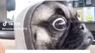 Viral tiktok compilation