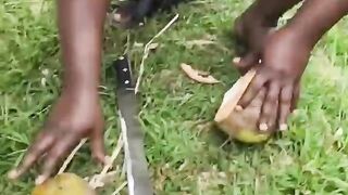 Coconut Chalange Funny Video