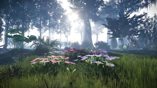 Animated forest