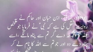 #tallum Urdu #islamicvideo