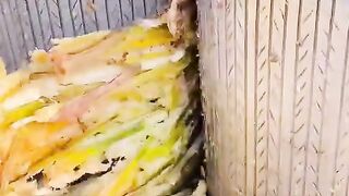 گاؤں میں گڑ کی تیاری کے خوبصورت مناظر
