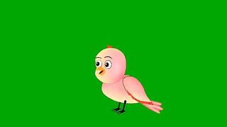 Tuni birda