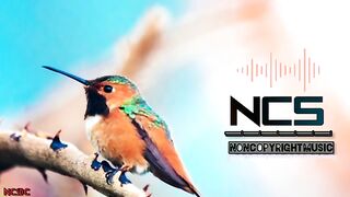 Birds sounds