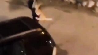 Girl catch Lion