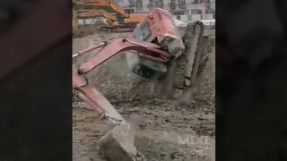 Total idiots