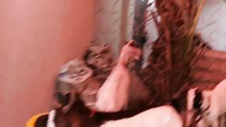 My 2022 eid ul Adha bakra sad Status videos #mushibhai #status #sadstatus #sadsongs
