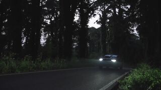Carpet - id | Trending HD Video 17