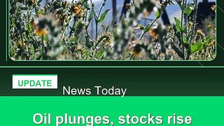 Oil-plunges,-stocks-rise-as-Trump-says-Iran-war-over-'very-soon'