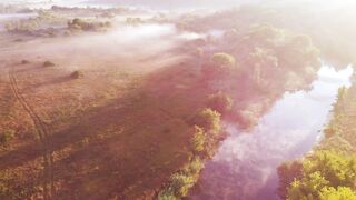 Magical Misty River at Dawn | Breathtaking Aerial View of a Serene Green Landscape