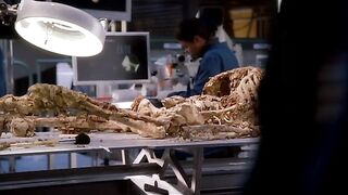 Bones S01E03 A Boy In A Tree