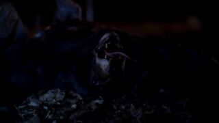 Bones S01E04 The Man In The Bear.