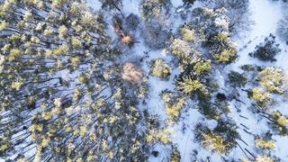 Winter Coat - id | Trending HD Video 72
