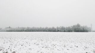 Winter Coat - snow covered ground | Trending HD Video