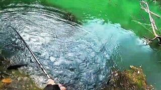 The Strength Behind Calm Waters