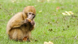 Funnyfuzzy - id | Trending HD Video 159