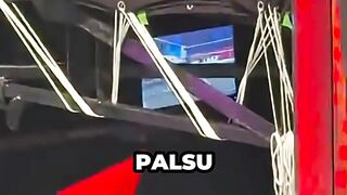 Fakta Tentang WWE