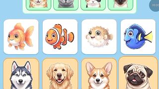 Match Master Level 1-15
