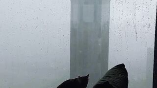 Rain_