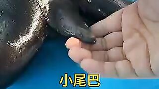 Too smooth with it #funnymoments #shortvideo #coincidences 13