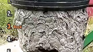 Too smooth with it #funnymoments #shortvideo #coincidences 24
