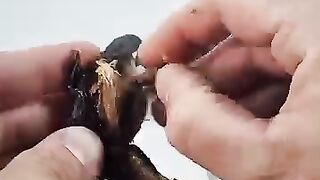 Too smooth with it #funnymoments #shortvideo #coincidences 44