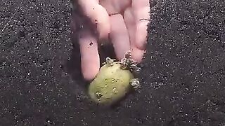 Too smooth with it #funnymoments #shortvideo #coincidences 53