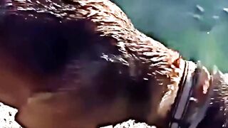 The reflex of this animal is unstoppable #animals #wildlife