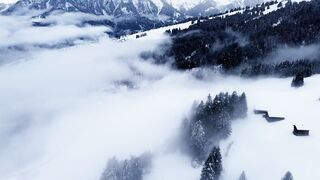 Winter Coat - id | Trending HD Video 73