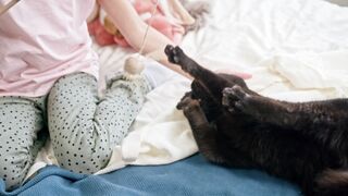 Funnyfuzzy - kids playing catch the bait with their cat | Trending HD Video