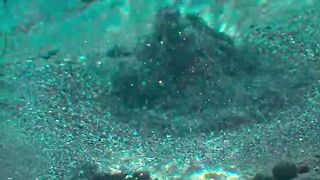 Beneath the water lies an unseen oasis #underwater #underwaterworld #nature #fish #wildlife