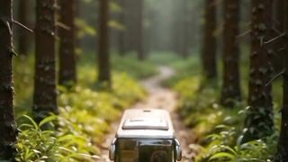 Mini Bus Adventure Through the Heart of the Forest