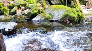 stock video of flowing river, green rocks