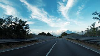 Carpet - id | Trending HD Video 19