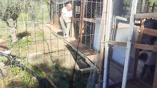 A bit more space for the rescue cats