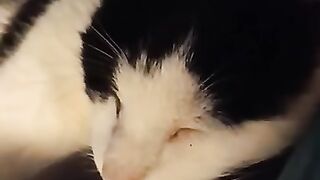 QEII RIP