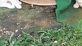 Cat Rescue. New guy picking fights