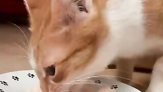 Winnie Enjoys A Snack