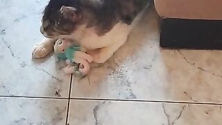 Gone With The Wind at Catnip Hall