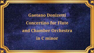 Gaetano Donizetti's Concertino for Flute and Chamber Orchestra in C minor