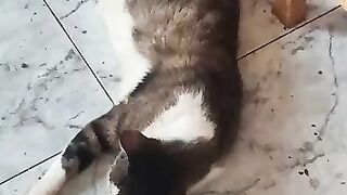 Mr Marlo loves the hairdresser