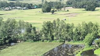 4K resolution - stunning 4k aerial view of bangladeshi fields | Trending HD Video