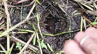 Looking for a fish or eel.. Thanks for watching..!! 54